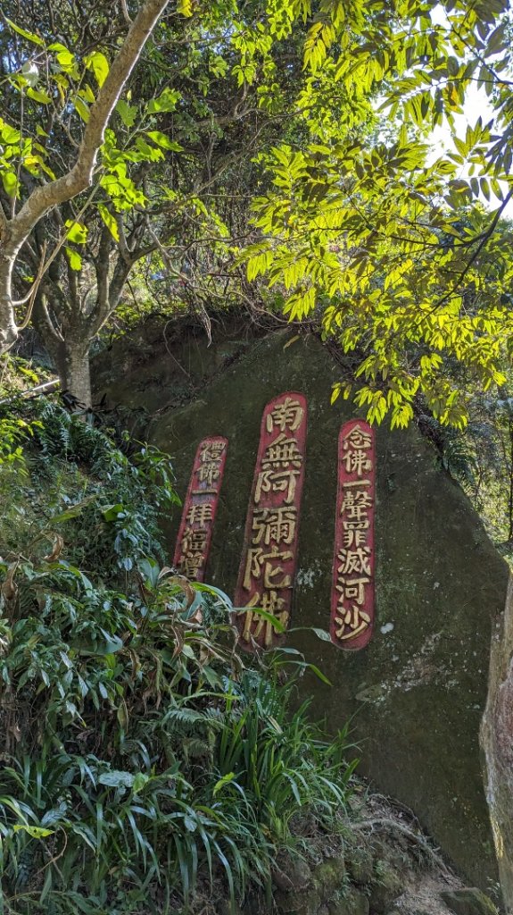 南港山 顏子廟起登_2428871