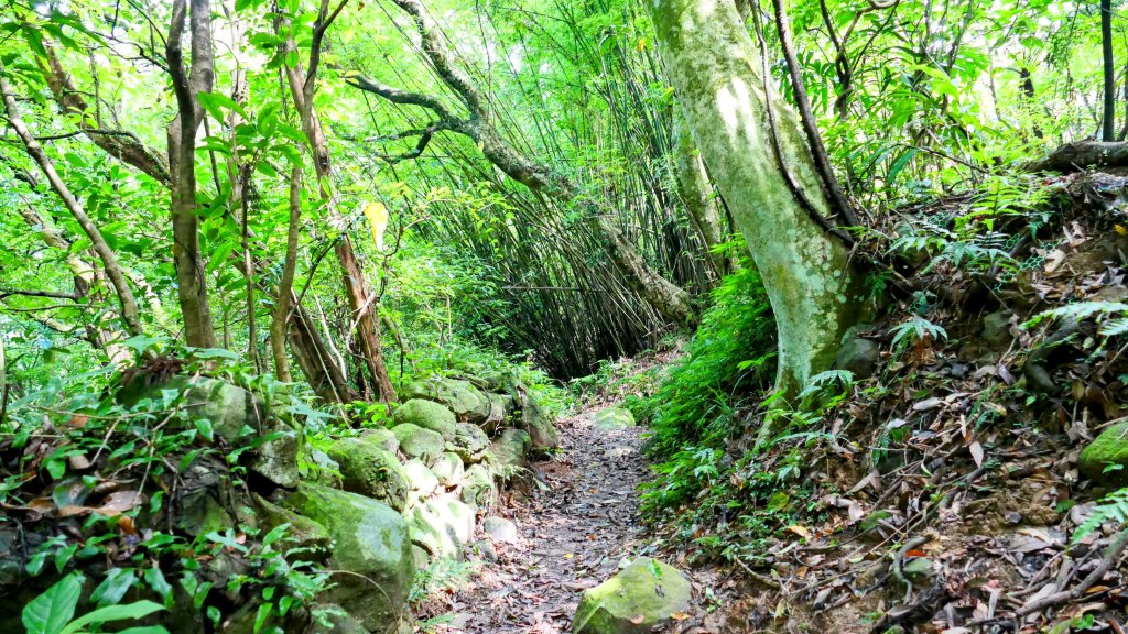 溪和宮,大尖山,擎天崗_2822952