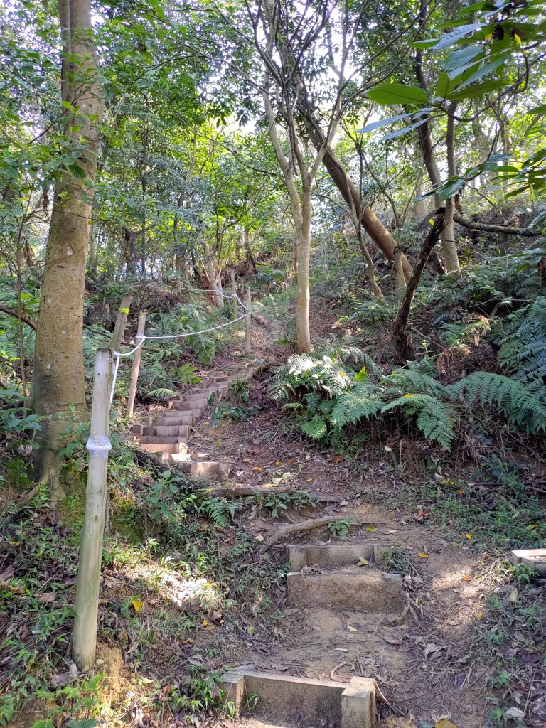 鶯歌石-牛灶坑山-孫龍步道O型_836902