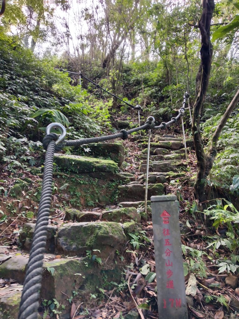 基隆市暖東舊道+頂子寮山+五分山步道(五分山)去回_2946208