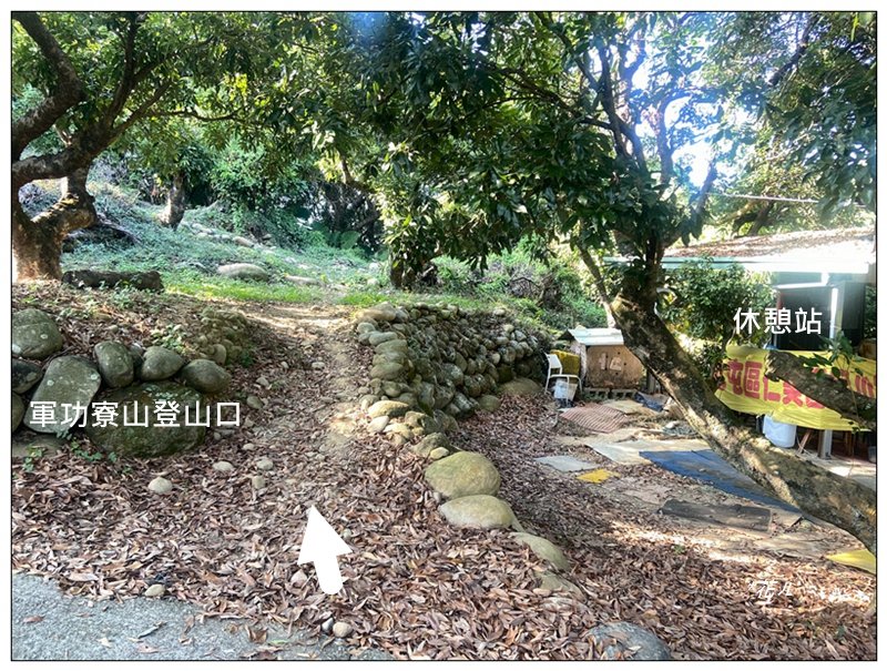 軍功寮山、大坑9、7、6、9-1步道 O型一圈_2950772