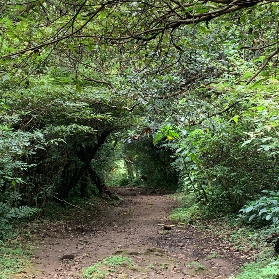 清天宮—面天山—二子坪_1794948