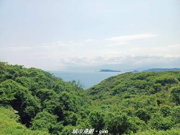 【新北金山】三面臨海視野佳。 獅頭山公園步道x神秘海灘x燭臺雙嶼_2818735