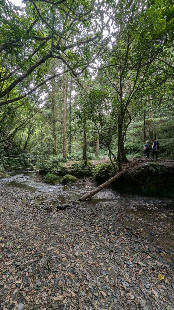 113.06.22坪溪古道-石坑山之旅_2533810