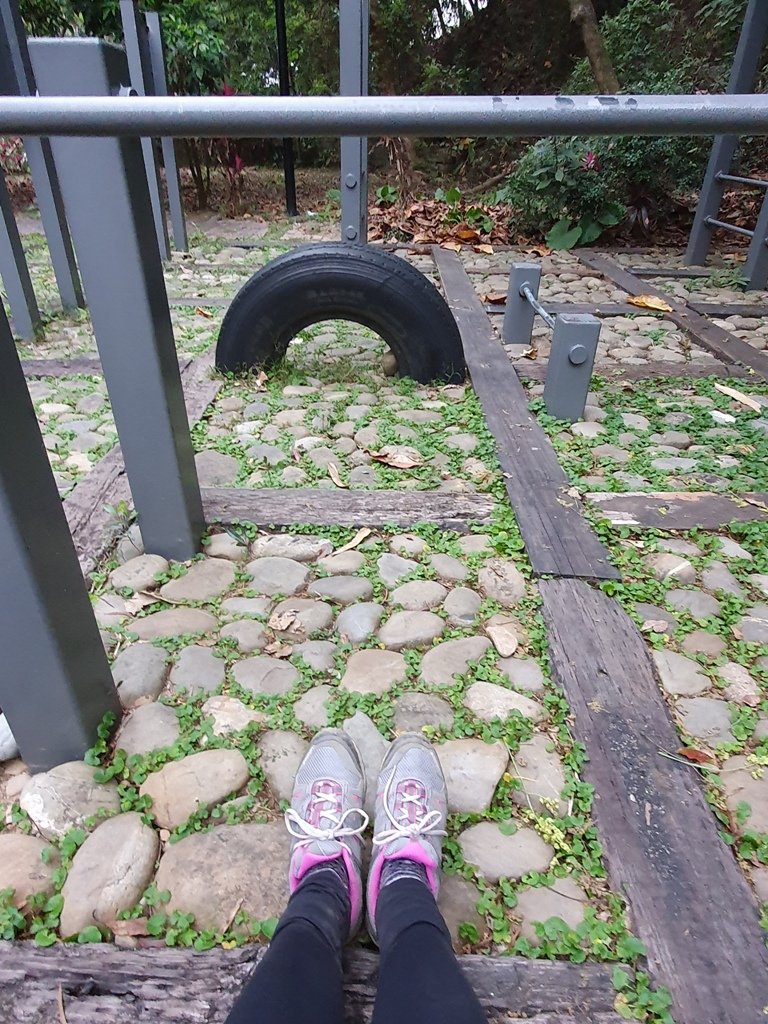 步道巡訪員│龍過脈步道3月巡訪日誌_872351