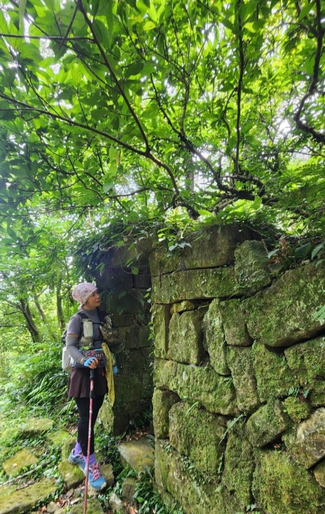 雙溪-四柑-後番子坑古道-土地公-上下內平林-大平林山-石笋-焿子寮古道-猴硐-金瓜石大小粗坑古道_2821821