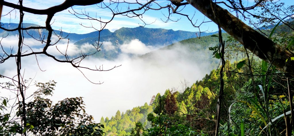 大霸尖山，小霸尖山，伊澤山，加利山，向天湖山，三角湖山，光天高山，李棟山，青蛙石步道，銅鏡山林步道_1979462