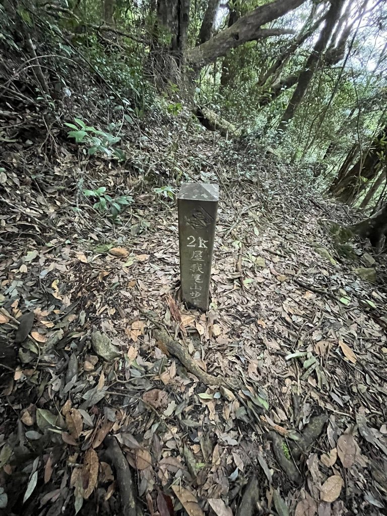 屋我尾山（大雪山線）_2867442