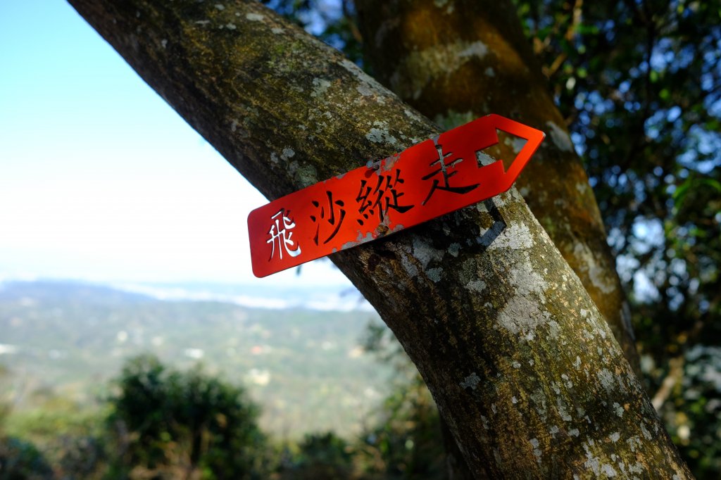 新竹縣 飛沙大縱走(大板根來回)_1224934