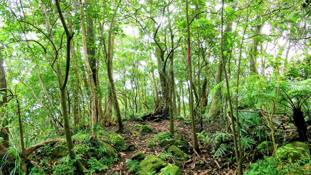 石古井,青林山,畝畝山,平溪子山_2854723