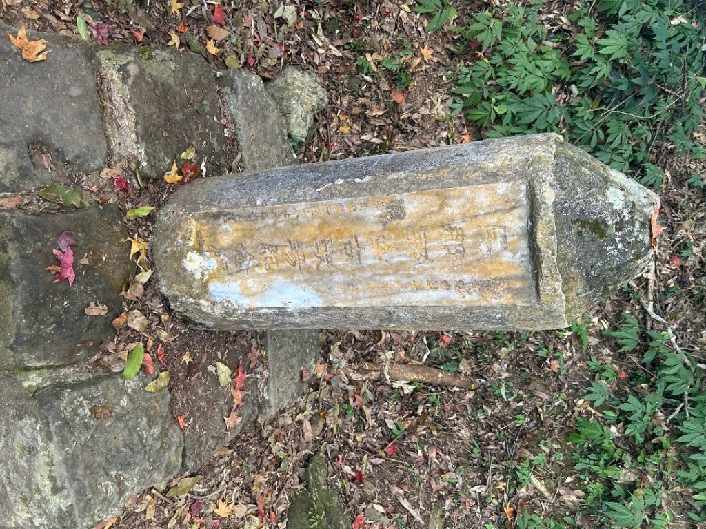 苗栗大湖-馬那邦山-小百岳037_2679925