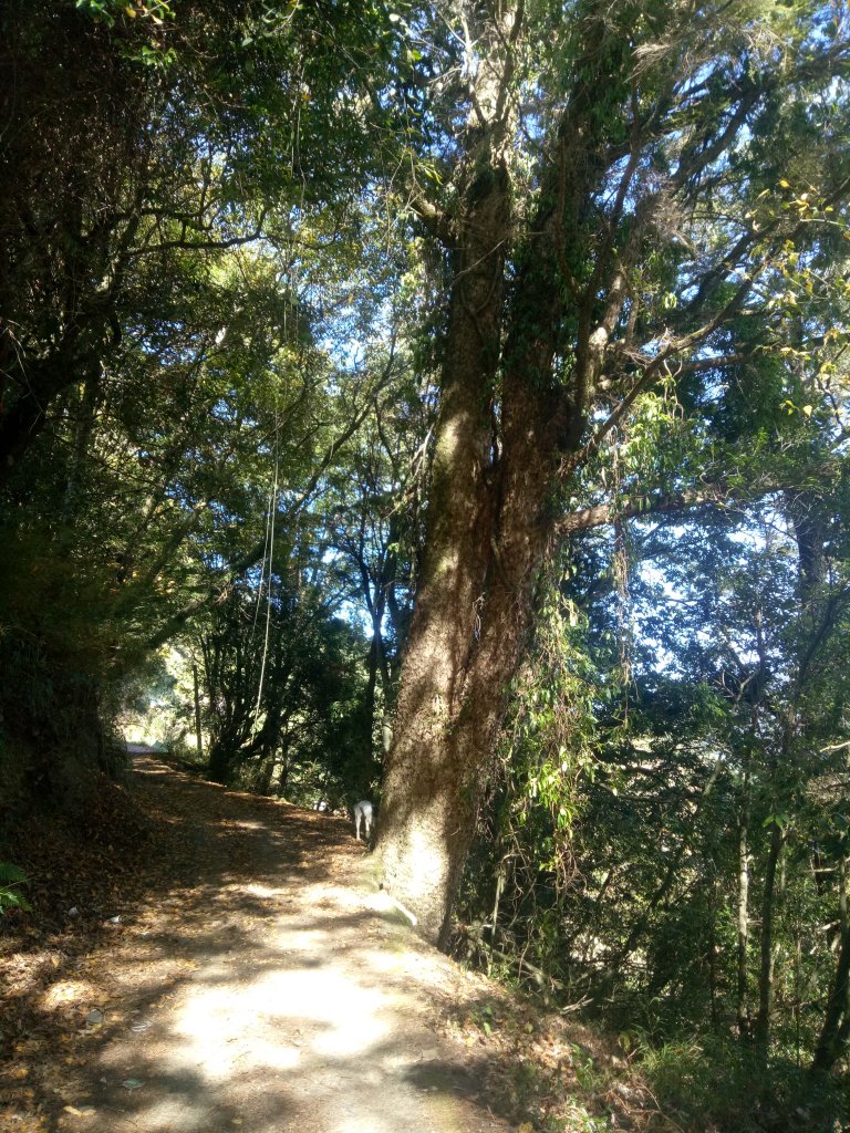 將軍廟上天鑾池+武法奈尾山_1881000
