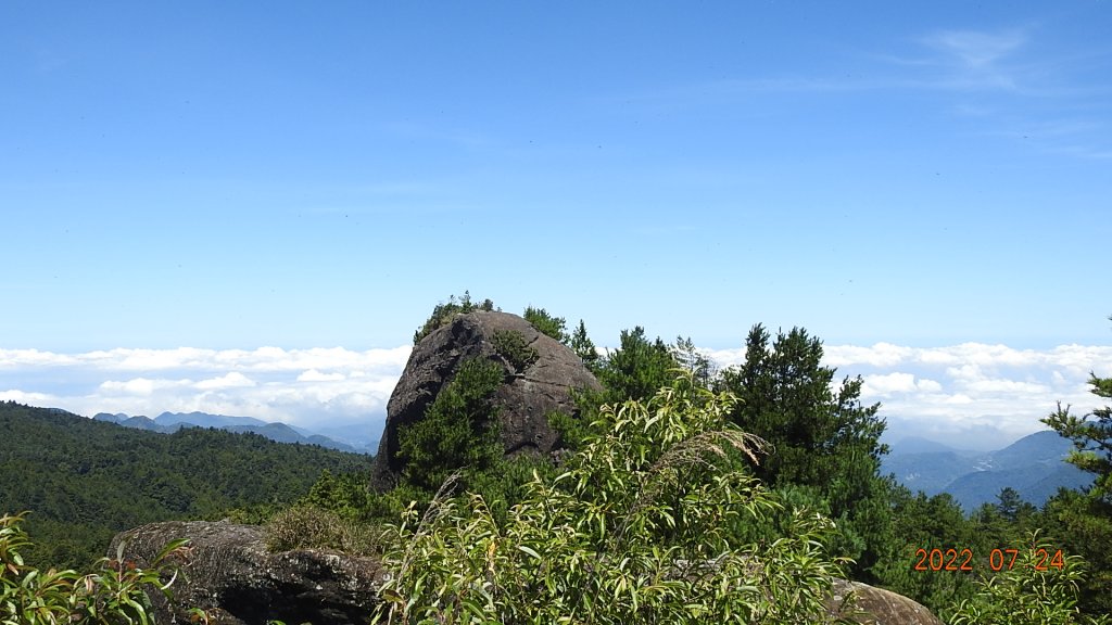 最高小百岳-大塔山2663M&阿里山二延平步道_1775079