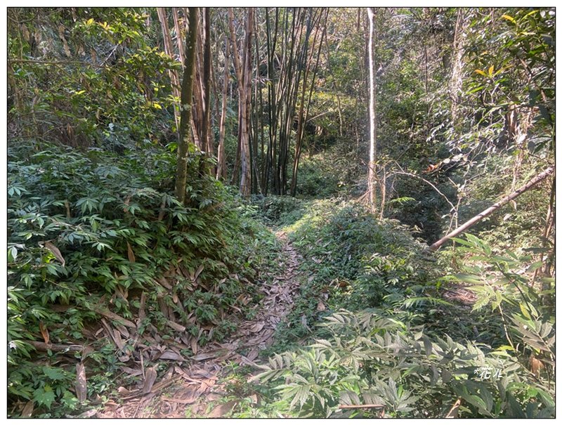 阿里眉山 (日月潭四姝的么妹)_2753053