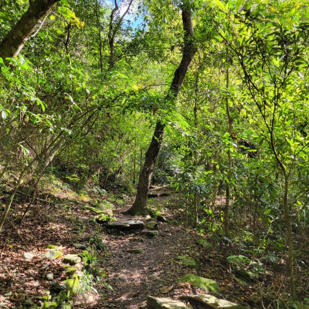 綠水步道_1662549
