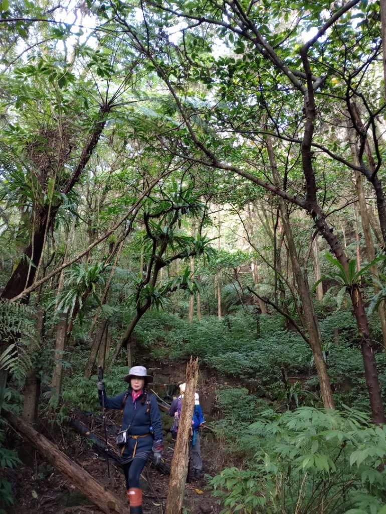 雷公埤山-鱷魚島觀景-小格頭獅頭山_2001488