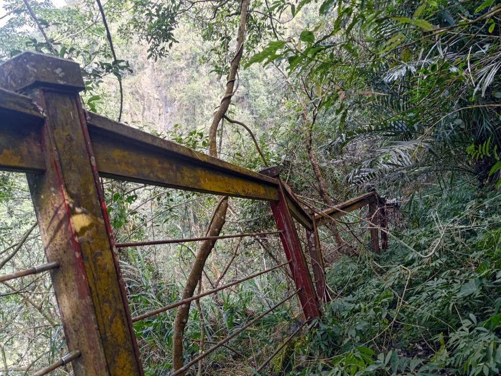 回歸自然的山羊古道_2678662