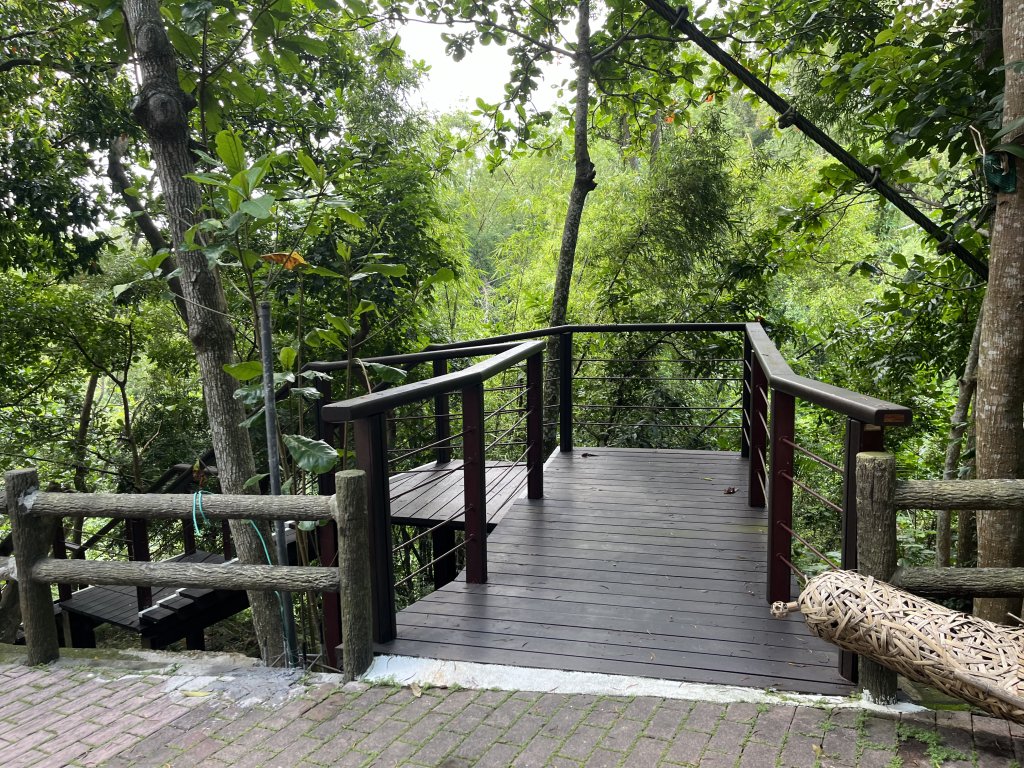 [百山百鳥尋旅-03/15] 2025_0817 虎形山公園步道_2863123