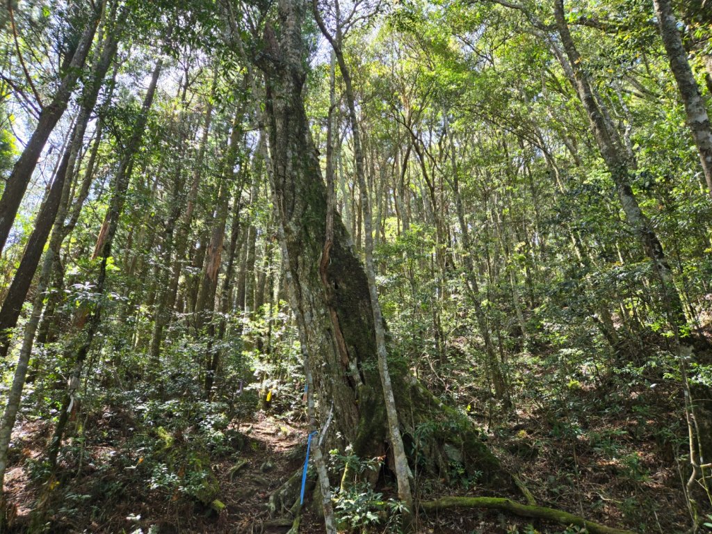 哈堪尼山_2761955