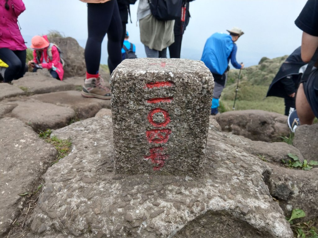 苗圃登山口上七星山(小百岳#2)連五峰_925157