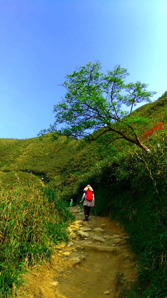 三角崙山～抹茶山_1324777