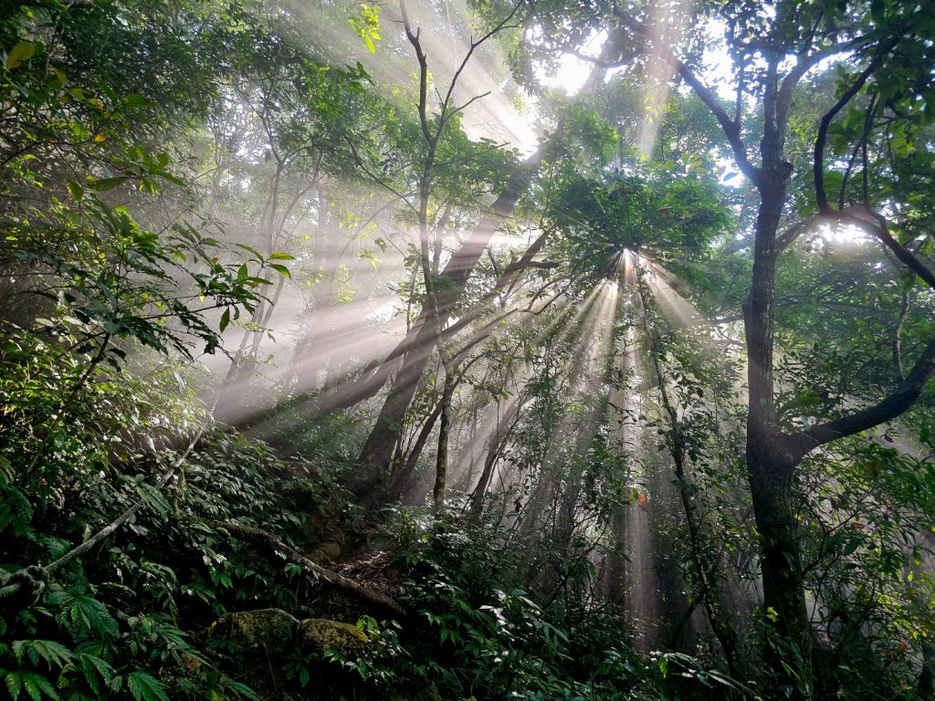 棚集山-小百岳#78-屏東縣來義鄉_2681715