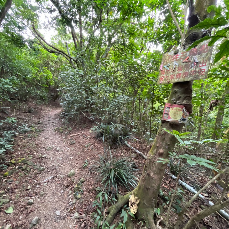 20251130_棚集山+斜坡上藝術節（屏東小百岳）_2968599