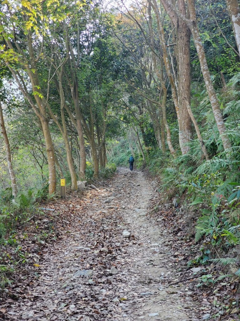 步道巡訪員│雲端上的尾寮山_828767