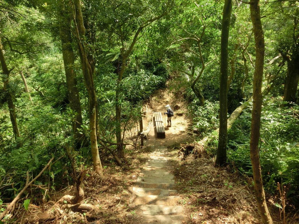 猴山岳步道_165930