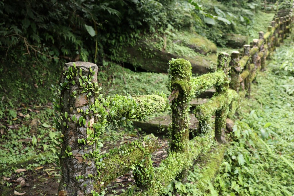 2019,03 二格風景 _553193