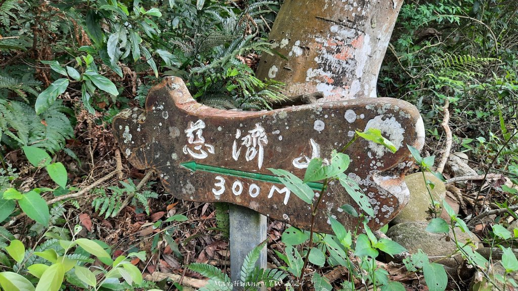 《苗栗》茶園古道｜三義登三義山慈濟山（三通嶺啟登）20240405_2472184