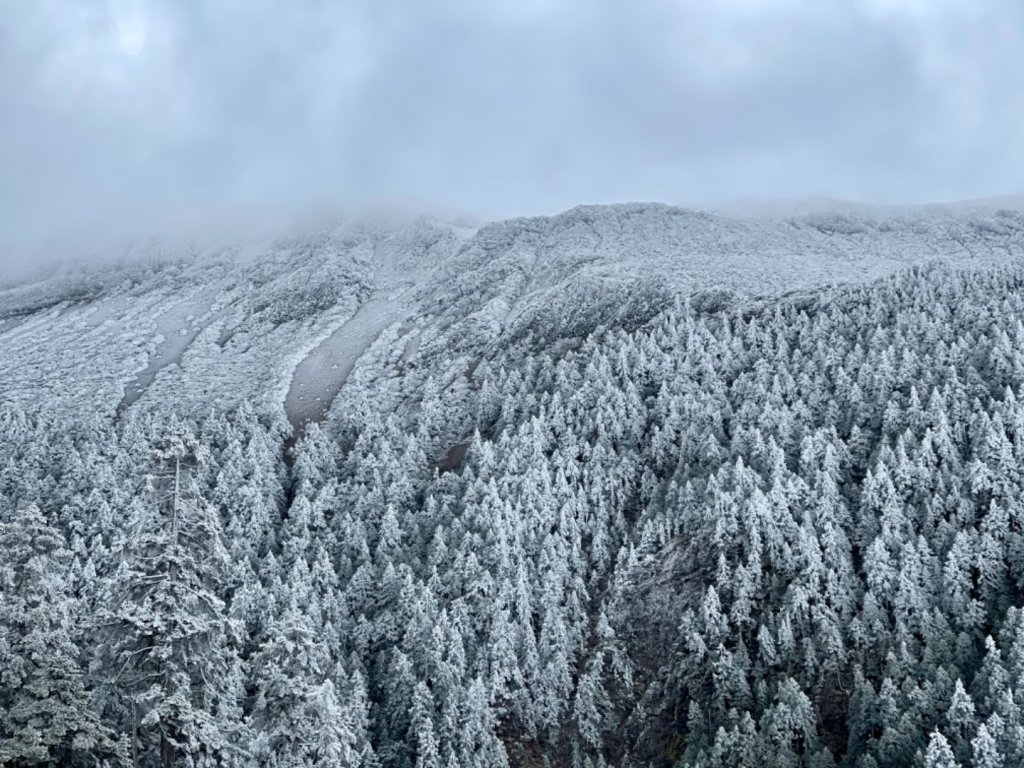 絕美銀白世界 玉山降下今年冬天「初雪」_1235925