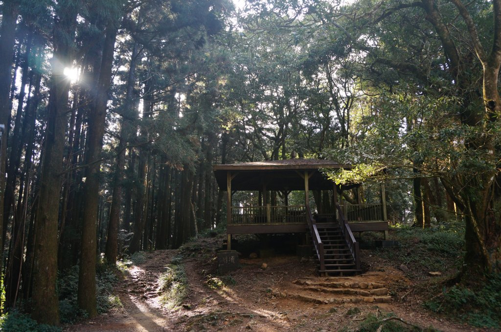 奮起湖大凍山步道_2011441