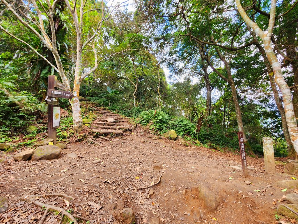 小百岳集起來-馬那邦山_2181244