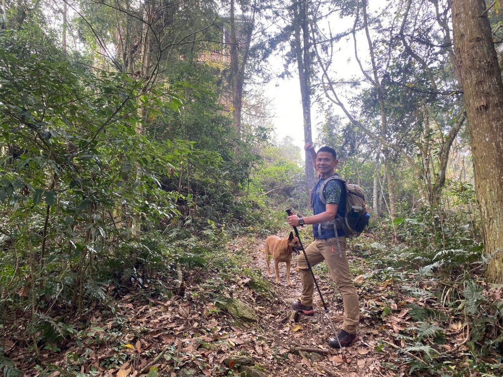 望鄉部落.獵人古道.望美山.瓊山【人與自然山林的恩怨情仇】_2731379