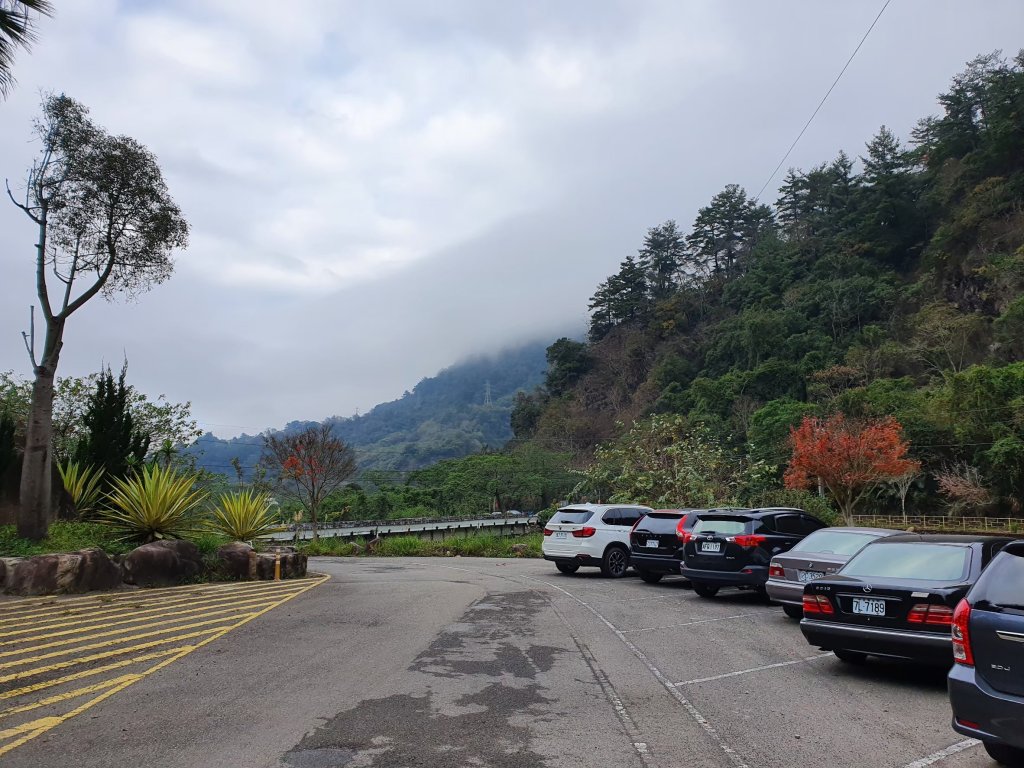 谷關七雄-唐麻丹山_2888699