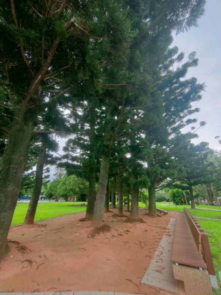 ［健康大穀東，台北趴趴走］（12~14）：榮星、林森、花博公園_2238708