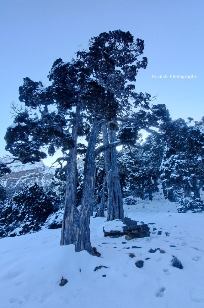 雪山西稜5天4夜_2427802