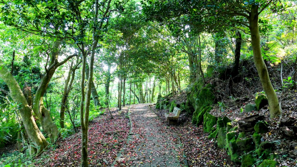 猴崁古道。盧特訪積_2773372