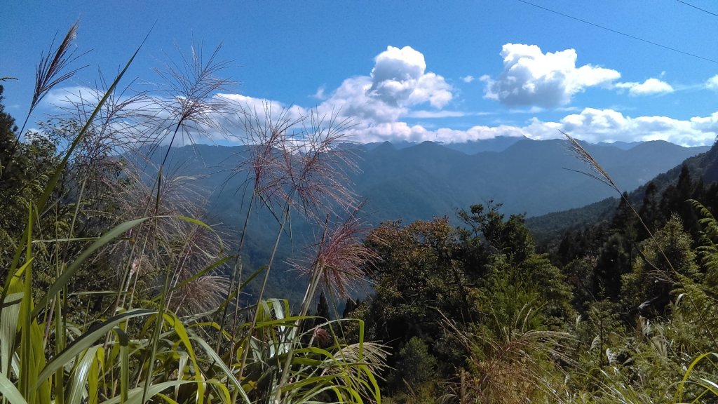 登榛山，望聖稜封面圖