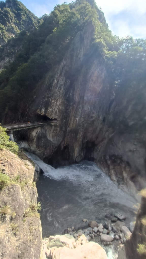 百大：白楊步道_1730116