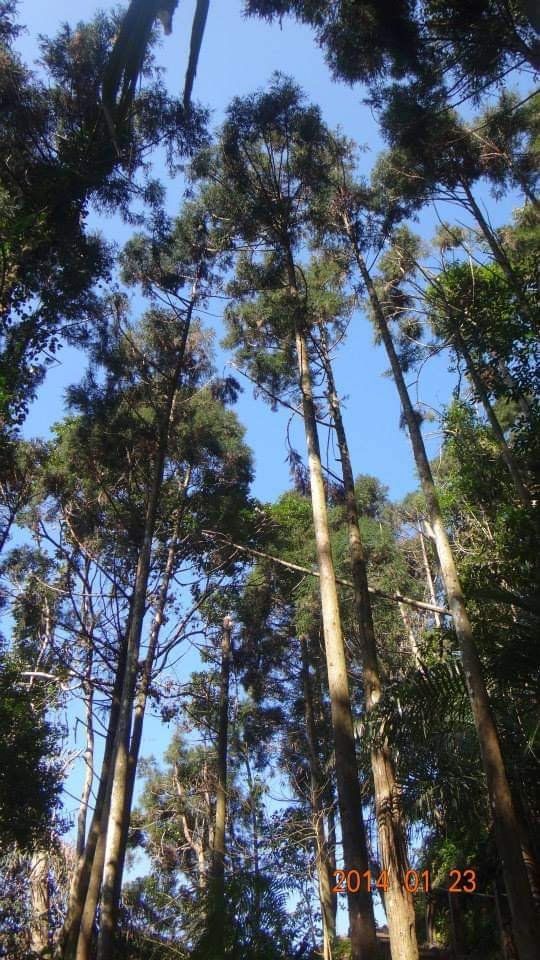 防疫期間・尋找登山回憶（20130301～20210514）_1417145