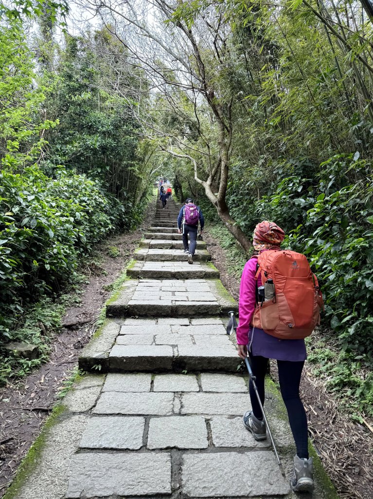 淡水搭渡輪上觀音山+占山O繞 搭公車接渡輪回淡水-20250318_2770636