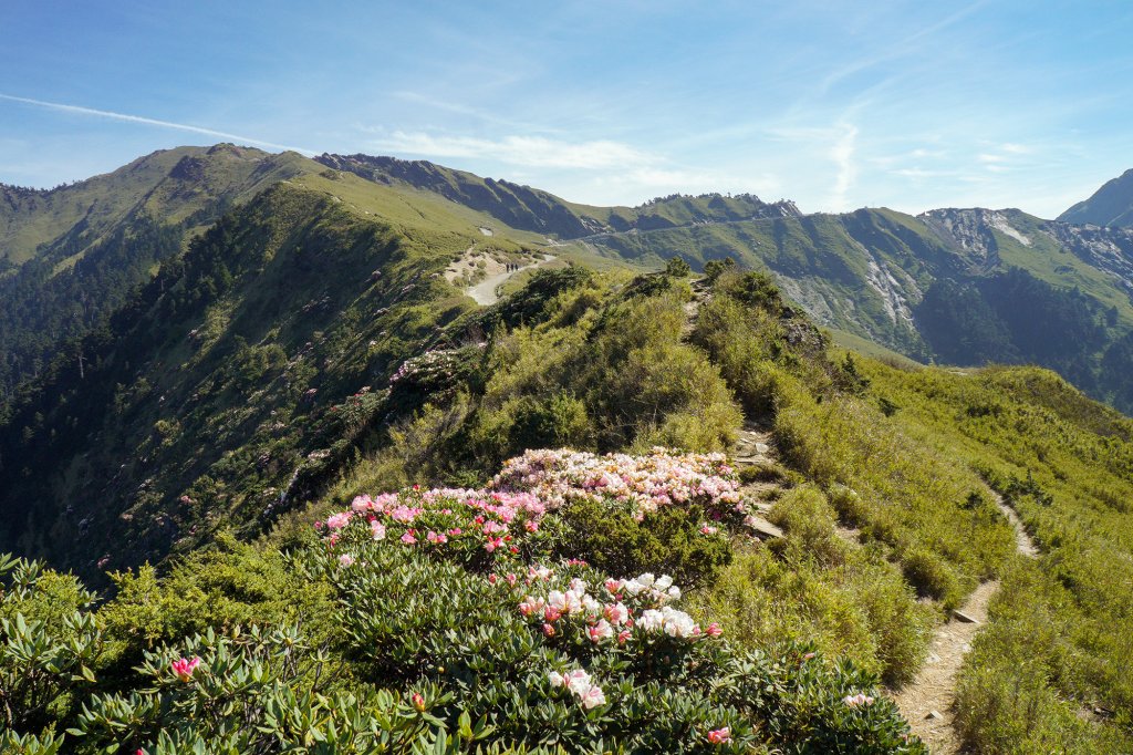 合歡山主峰_594998