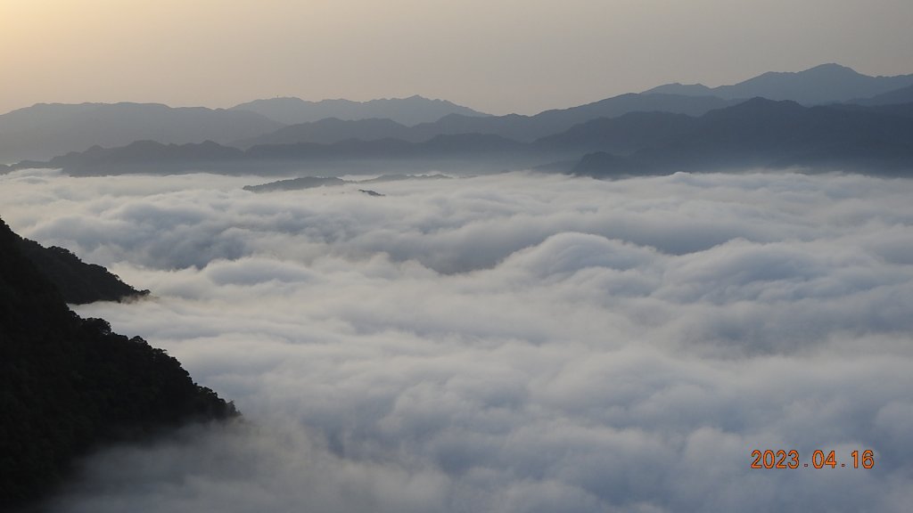 翡翠水庫壩頂(新店四十份)再見日出雲海+賞 #松月櫻 &桐花_2114905