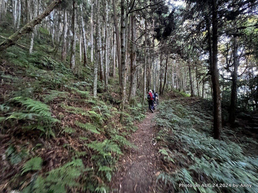 民都有山就是漂亮的夏天冷氣房_2582208