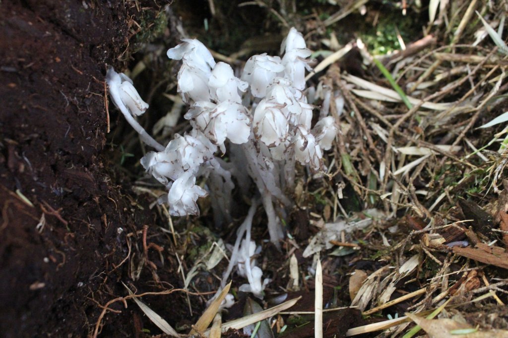 20220620高雄塔關山_1743016