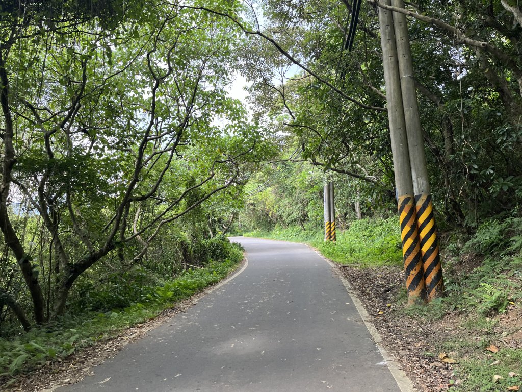 2024_0804 文間山_2566375