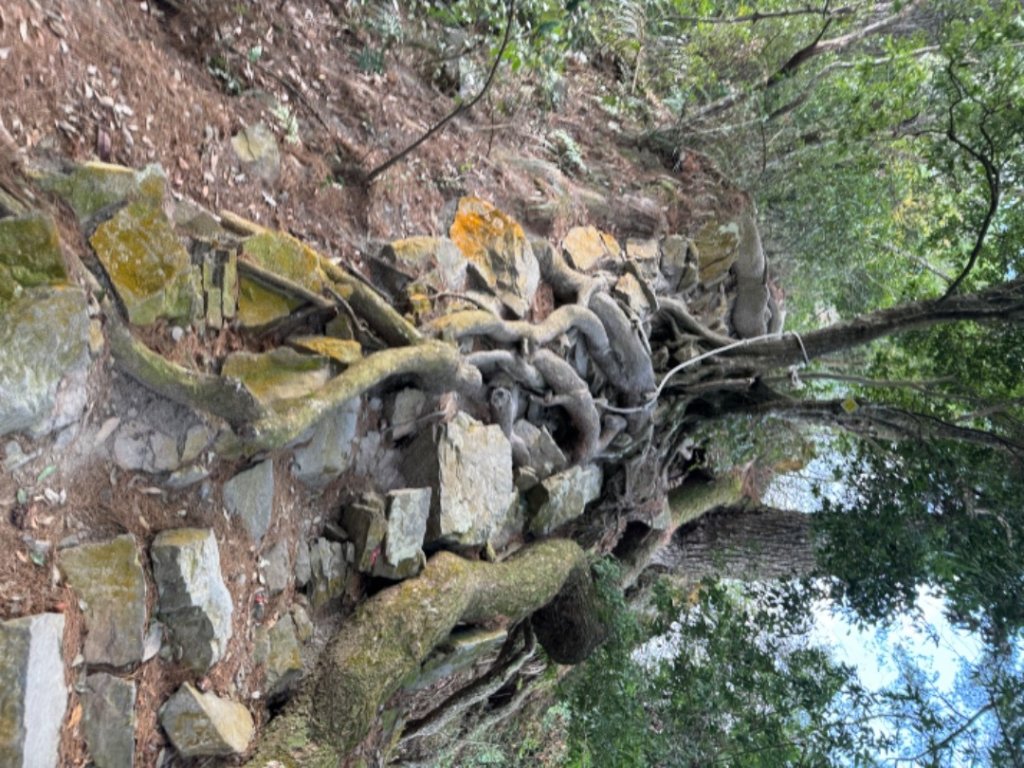 谷關七雄-唐麻丹山_2453420