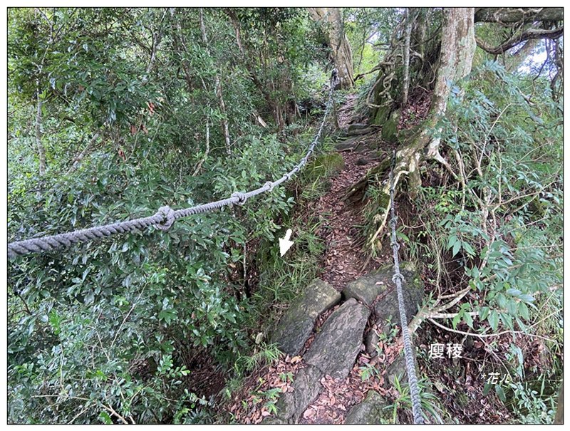 大克山 南稜線A上B下 (卓蘭最高峰)_2825465